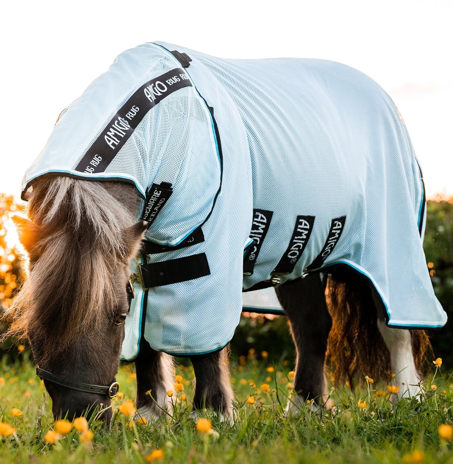 AMIGO PETITE BUG RUG - A Fly Sheet With Belly Protector For The Little Guys!