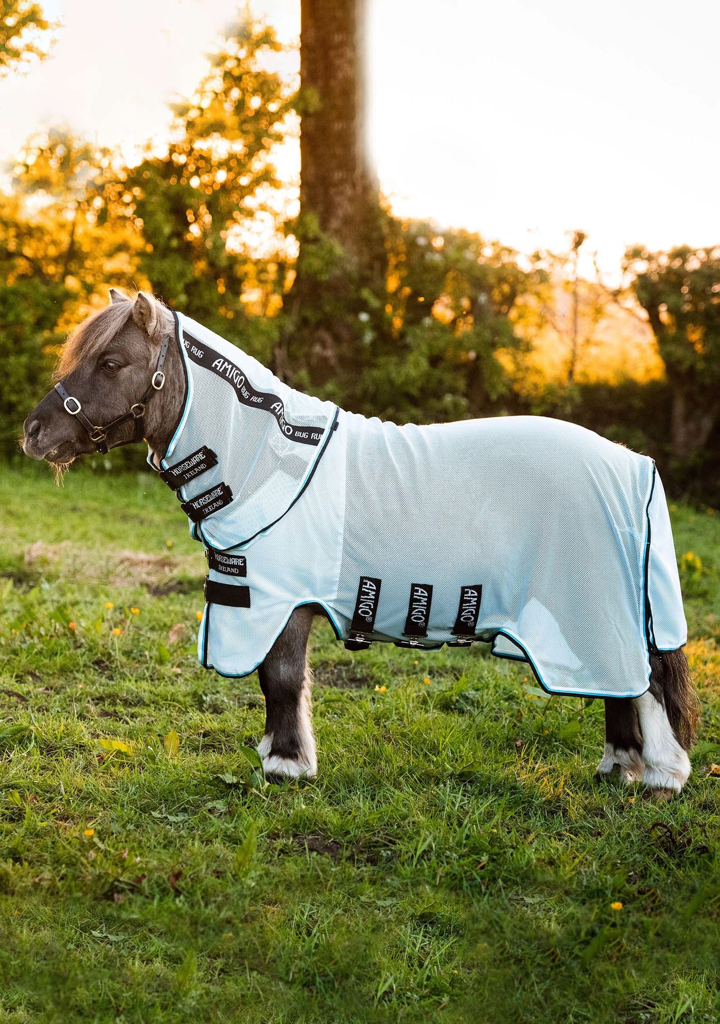 AMIGO PETITE BUG RUG - A Fly Sheet With Belly Protector For The Little Guys!