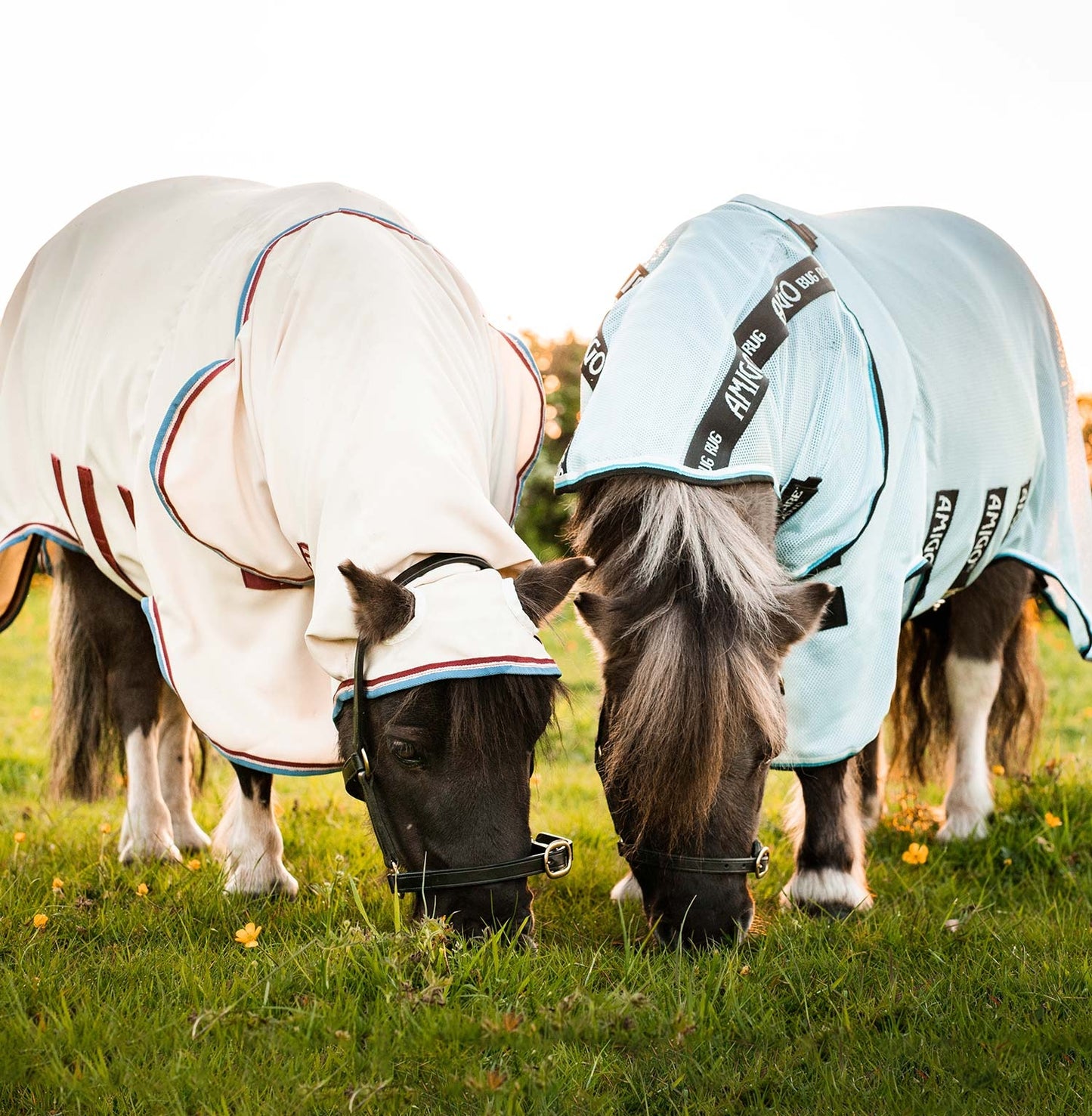 AMIGO PETITE BUG RUG - A Fly Sheet With Belly Protector For The Little Guys!