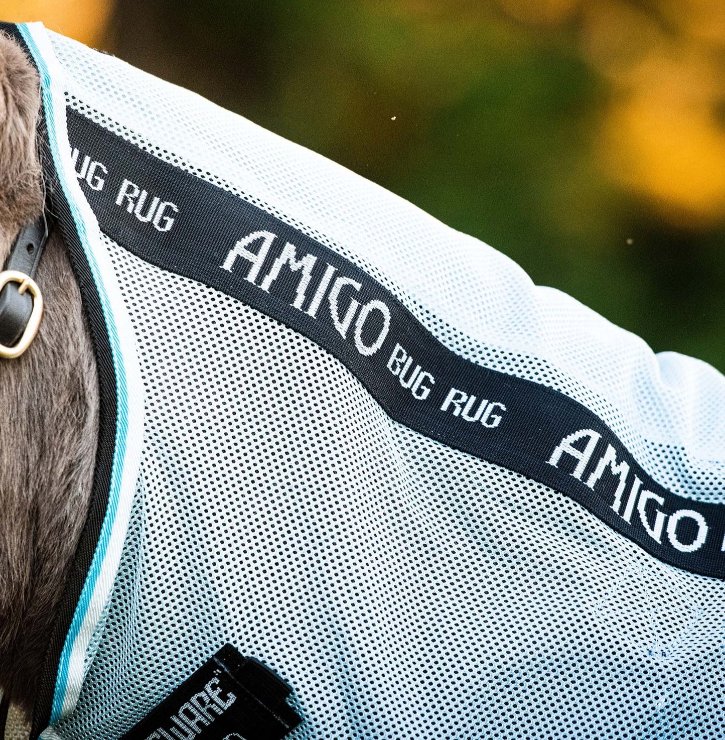 AMIGO PETITE BUG RUG - A Fly Sheet With Belly Protector For The Little Guys!