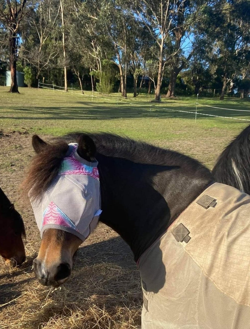 CASHEL & FLY BUSTER FLY MASKS FOR PONIES, FOALS, WEANLINGS & YEARLINGS