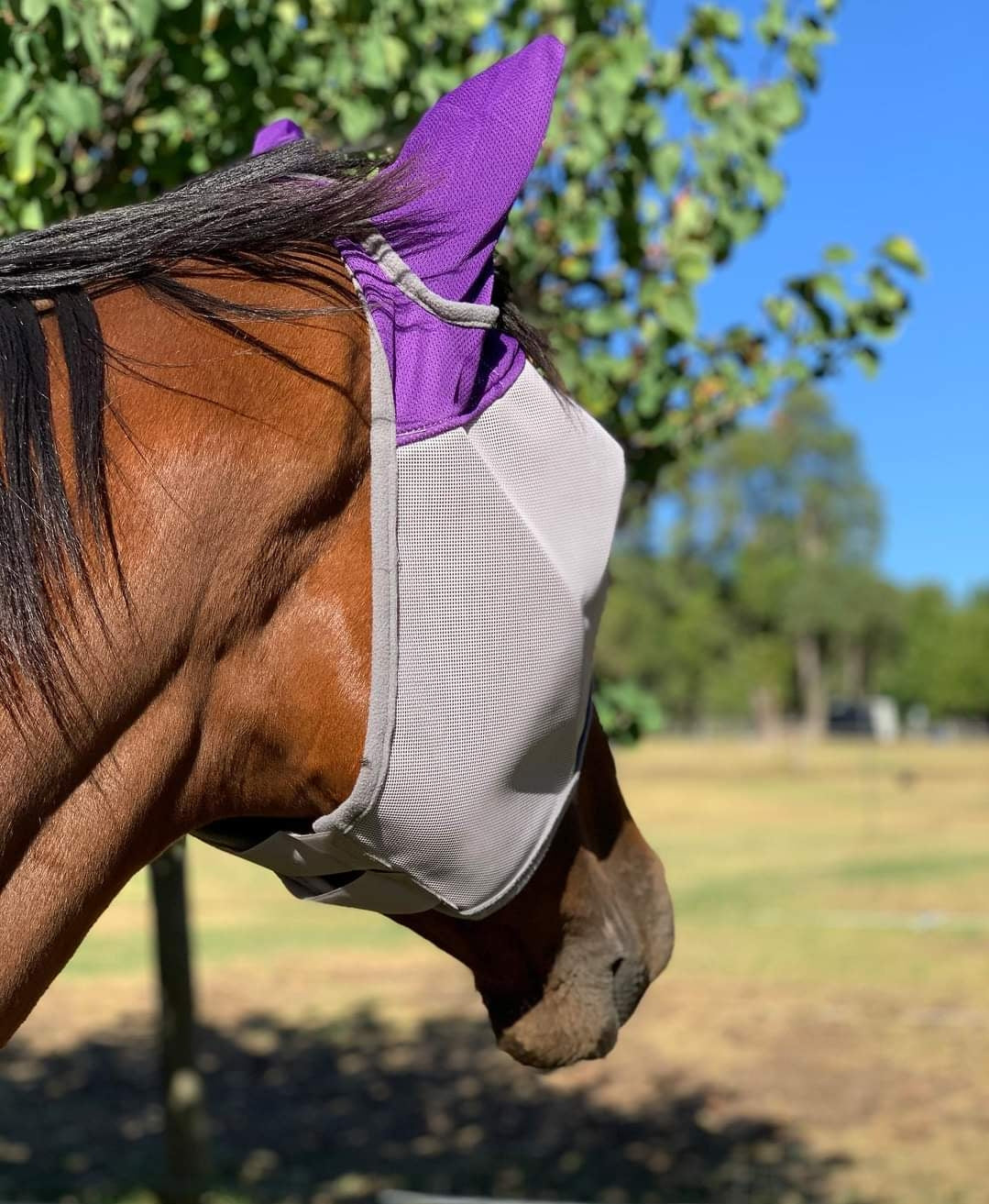 CASHEL CRUSADER & FLY BUSTER FLY MASKS FOR COB, HORSE, WB & DRAFT