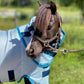 AMIGO PETITE BUG RUG - A Fly Sheet With Belly Protector For The Little Guys!