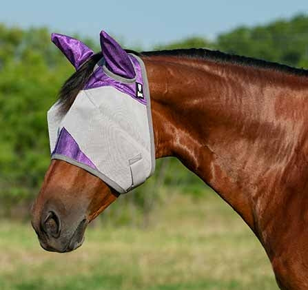 CASHEL & FLY BUSTER FLY MASKS FOR PONIES, FOALS, WEANLINGS & YEARLINGS