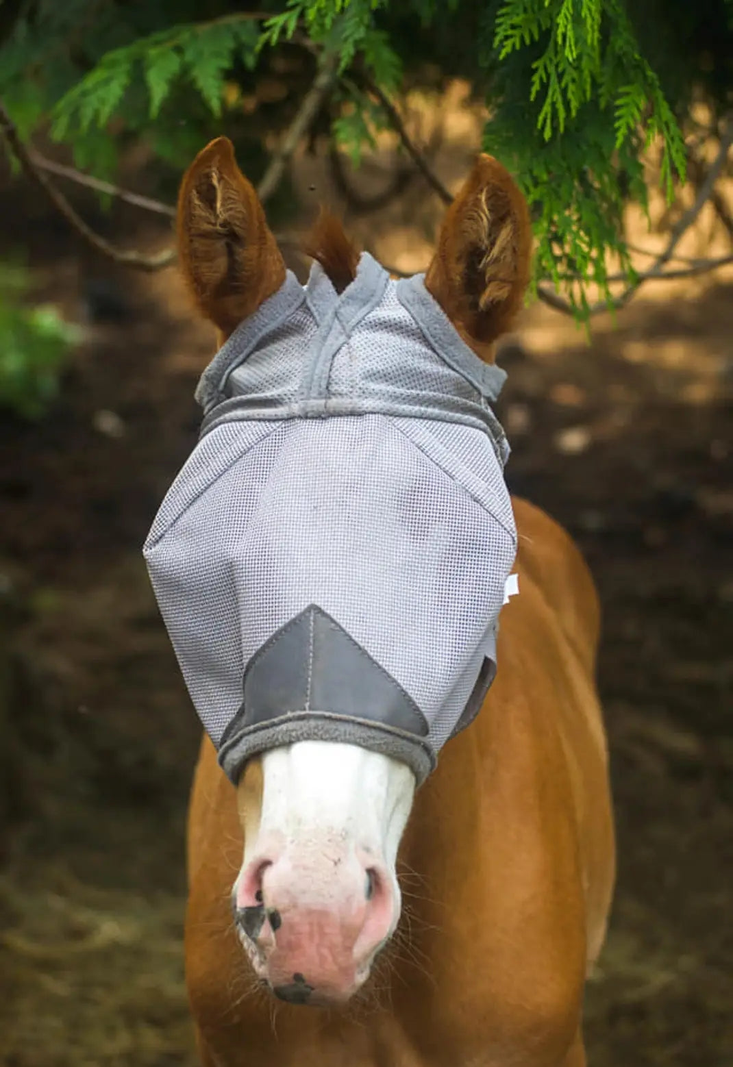 CASHEL & FLY BUSTER FLY MASKS FOR PONIES, FOALS, WEANLINGS & YEARLINGS