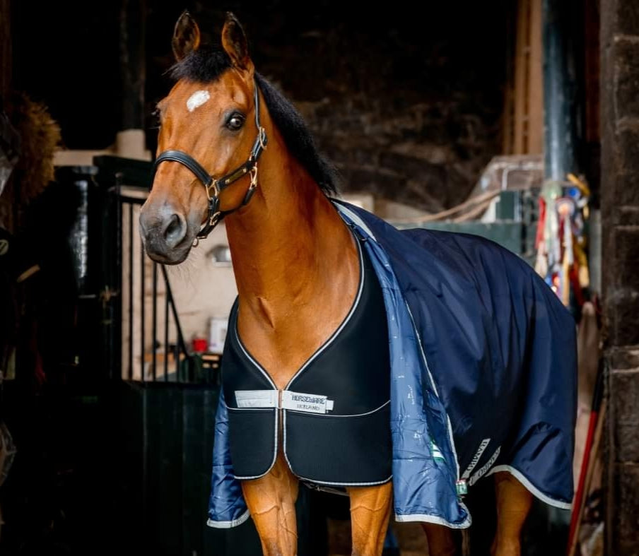 HORSEWARE DRY LINER