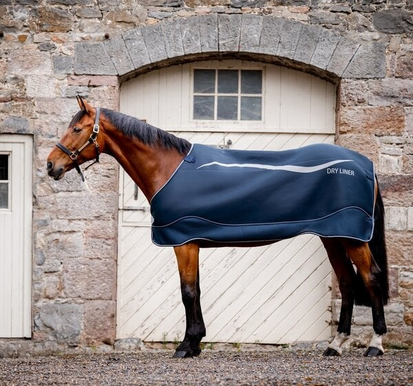 HORSEWARE DRY LINER