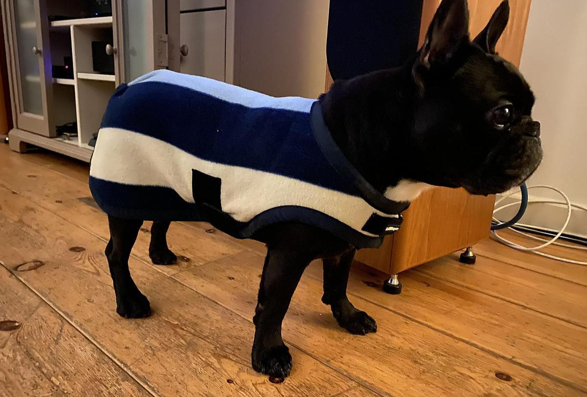 🔖RAMBO DELUXE FLEECE DOG COAT