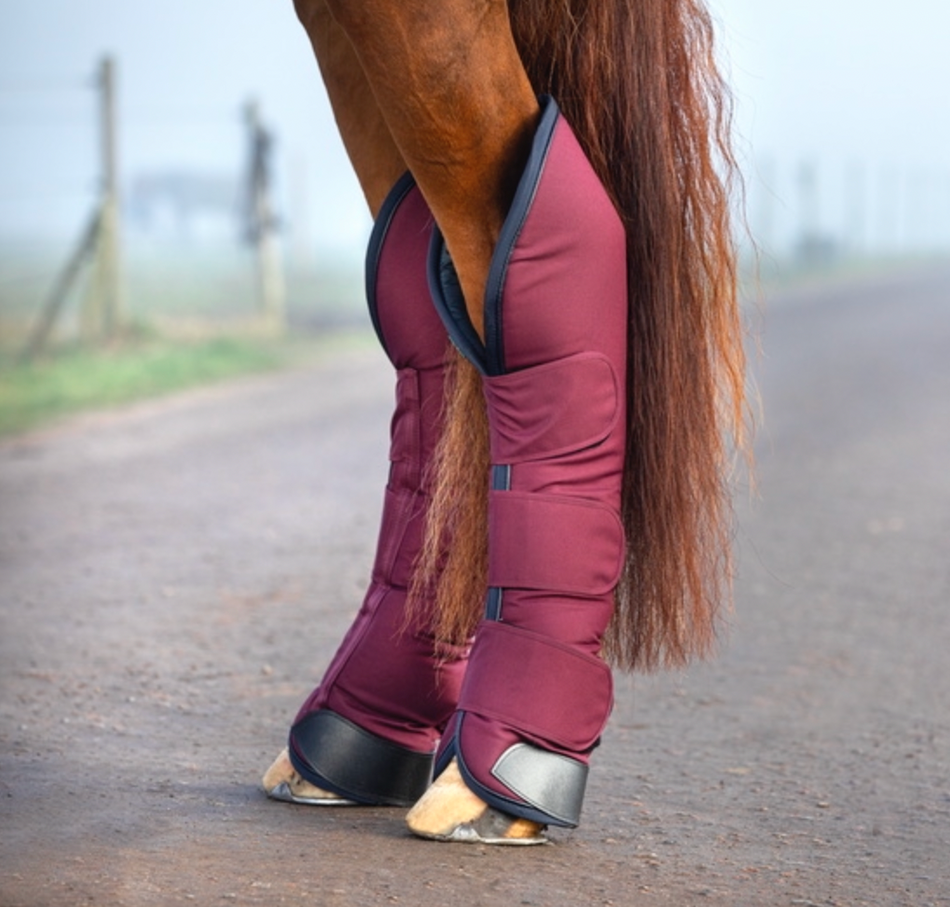 Equine cheap travel boots