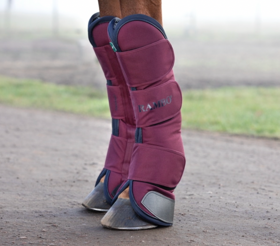 Horse travel boots australia best sale