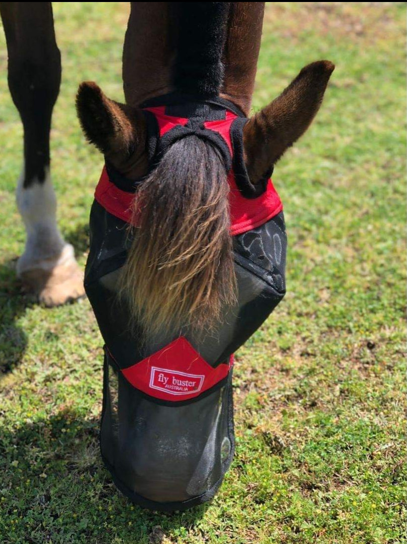 CASHEL CRUSADER & FLY BUSTER FLY MASKS FOR COB, HORSE, WB & DRAFT