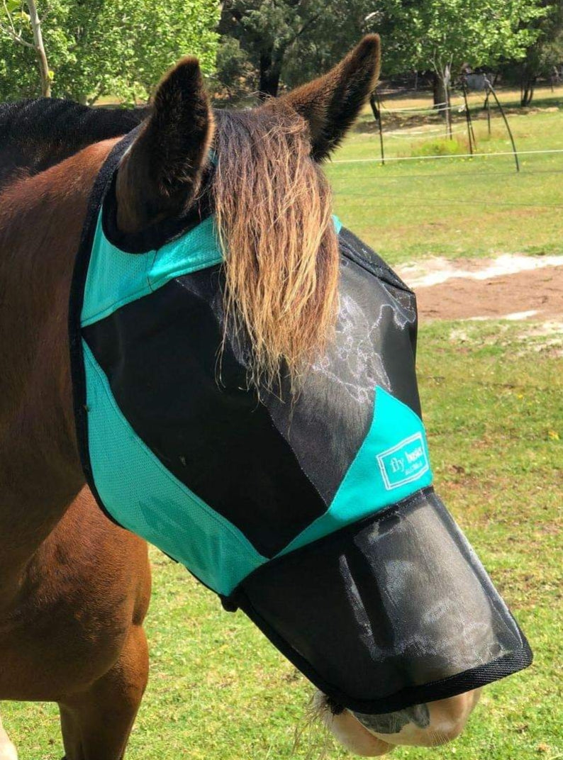 CASHEL CRUSADER & FLY BUSTER FLY MASKS FOR COB, HORSE, WB & DRAFT