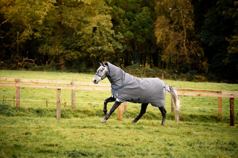 🔖RHINO PLUS HEXSTOP 100G TURNOUT
