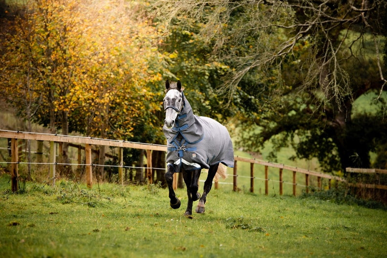 🔖RHINO PLUS HEXSTOP 100G TURNOUT