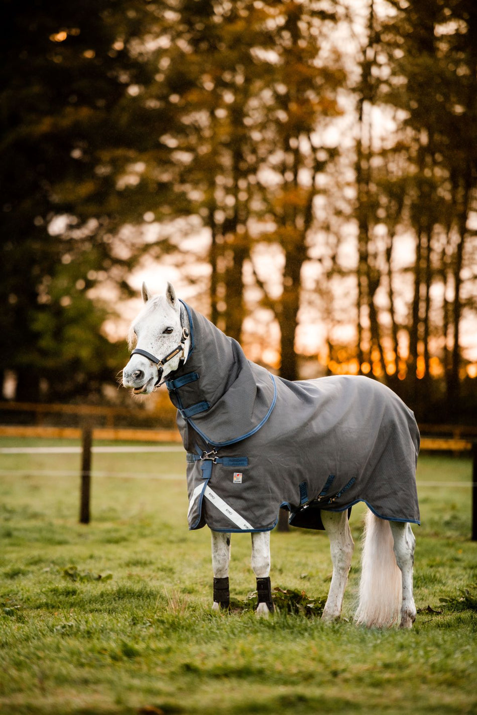 🔖RHINO PLUS HEXSTOP 100G TURNOUT