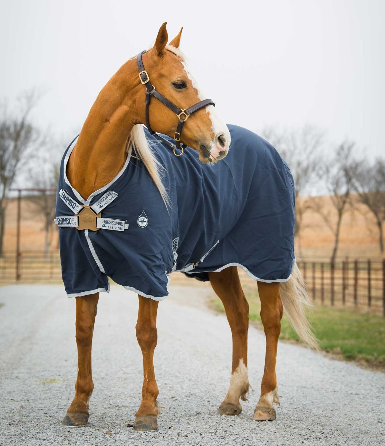 RAMBO HELIX STABLE SHEET DISC-FRONT - MOISTURE MANAGEMENT TECHNOLOGY