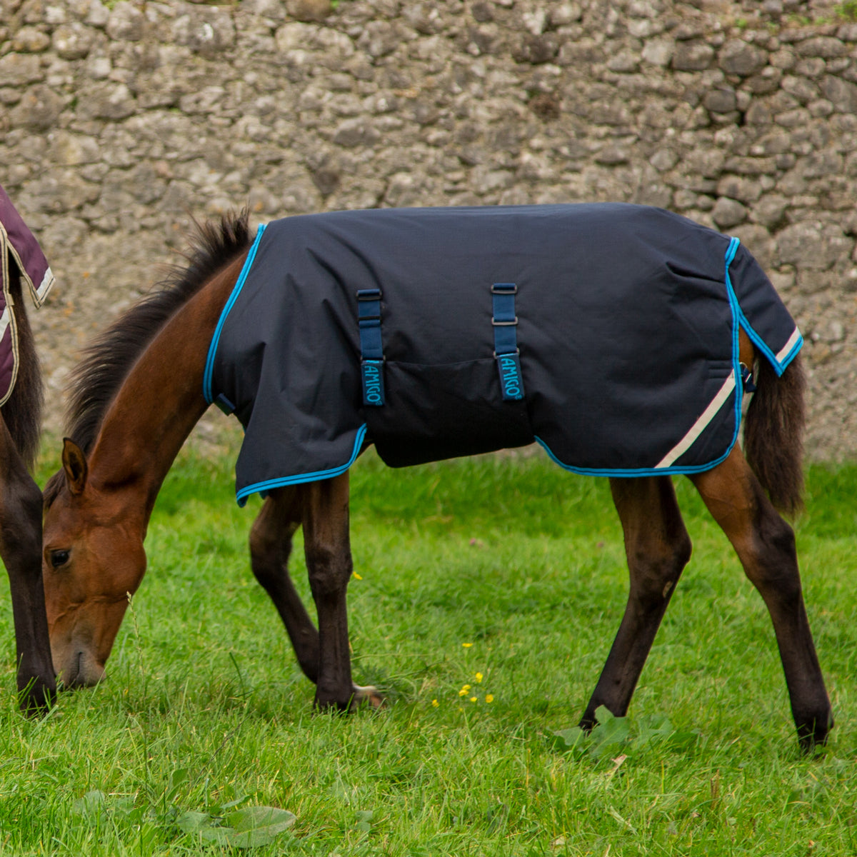 🔖AMIGO EXPANDABLE 200G FOAL RUG
