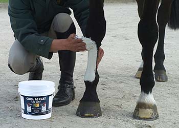 COOL AS CLAY - Cooling Poultice