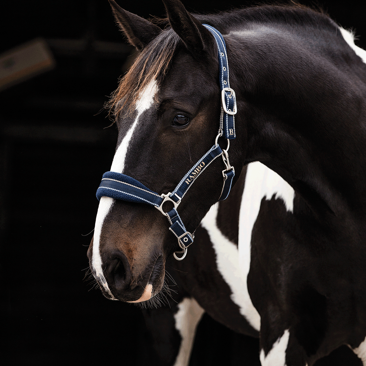 🔖RAMBO PADDED HEADCOLLAR