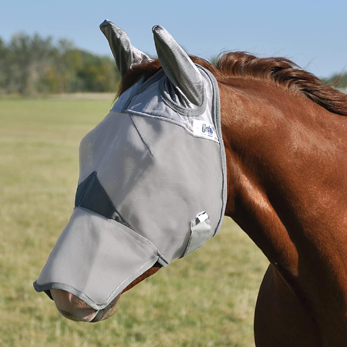 CASHEL & FLY BUSTER FLY MASKS FOR PONIES, FOALS, WEANLINGS & YEARLINGS