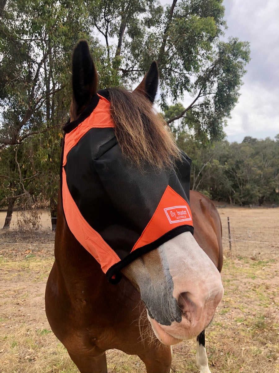 CASHEL CRUSADER & FLY BUSTER FLY MASKS FOR COB, HORSE, WB & DRAFT