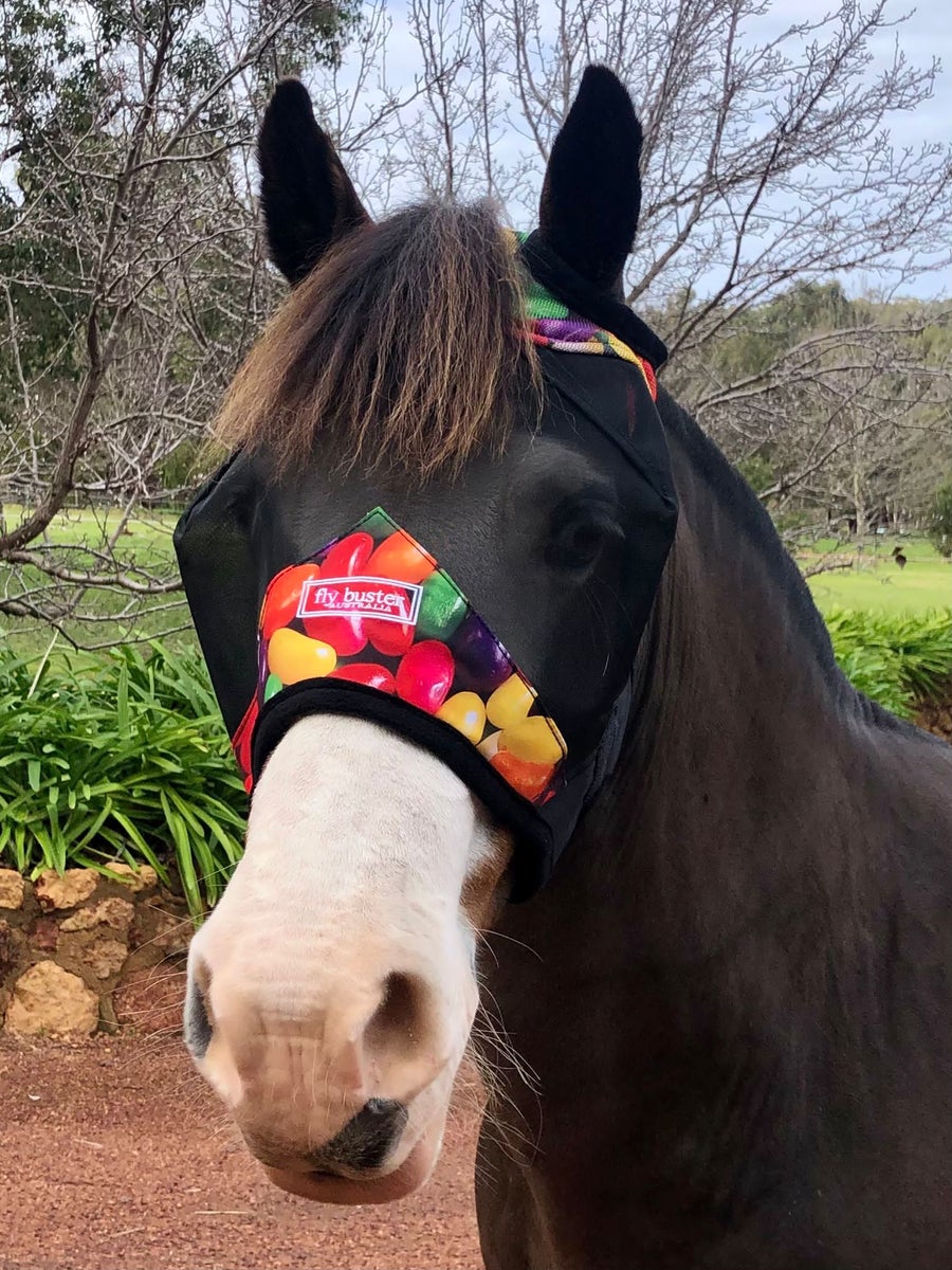 CASHEL CRUSADER & FLY BUSTER FLY MASKS FOR COB, HORSE, WB & DRAFT