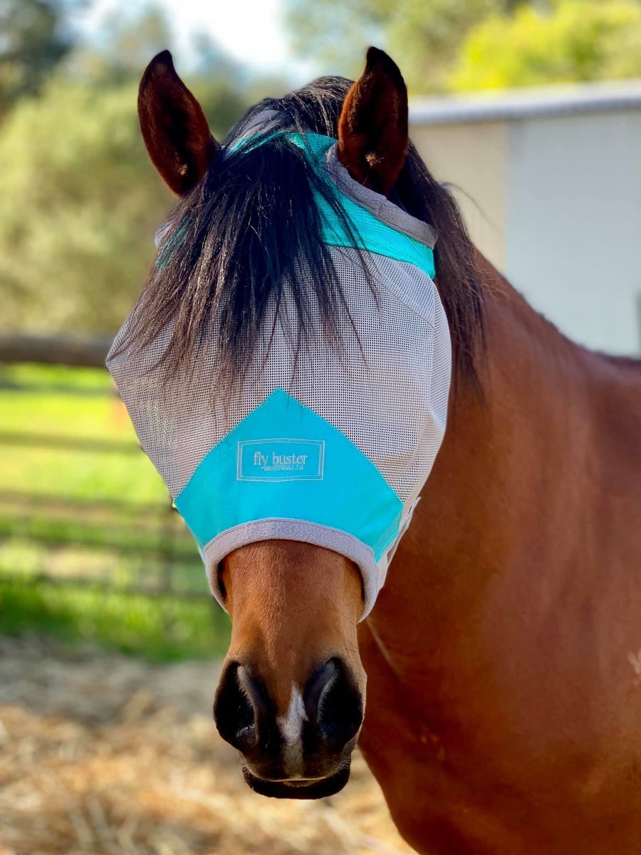 CASHEL CRUSADER & FLY BUSTER FLY MASKS FOR COB, HORSE, WB & DRAFT