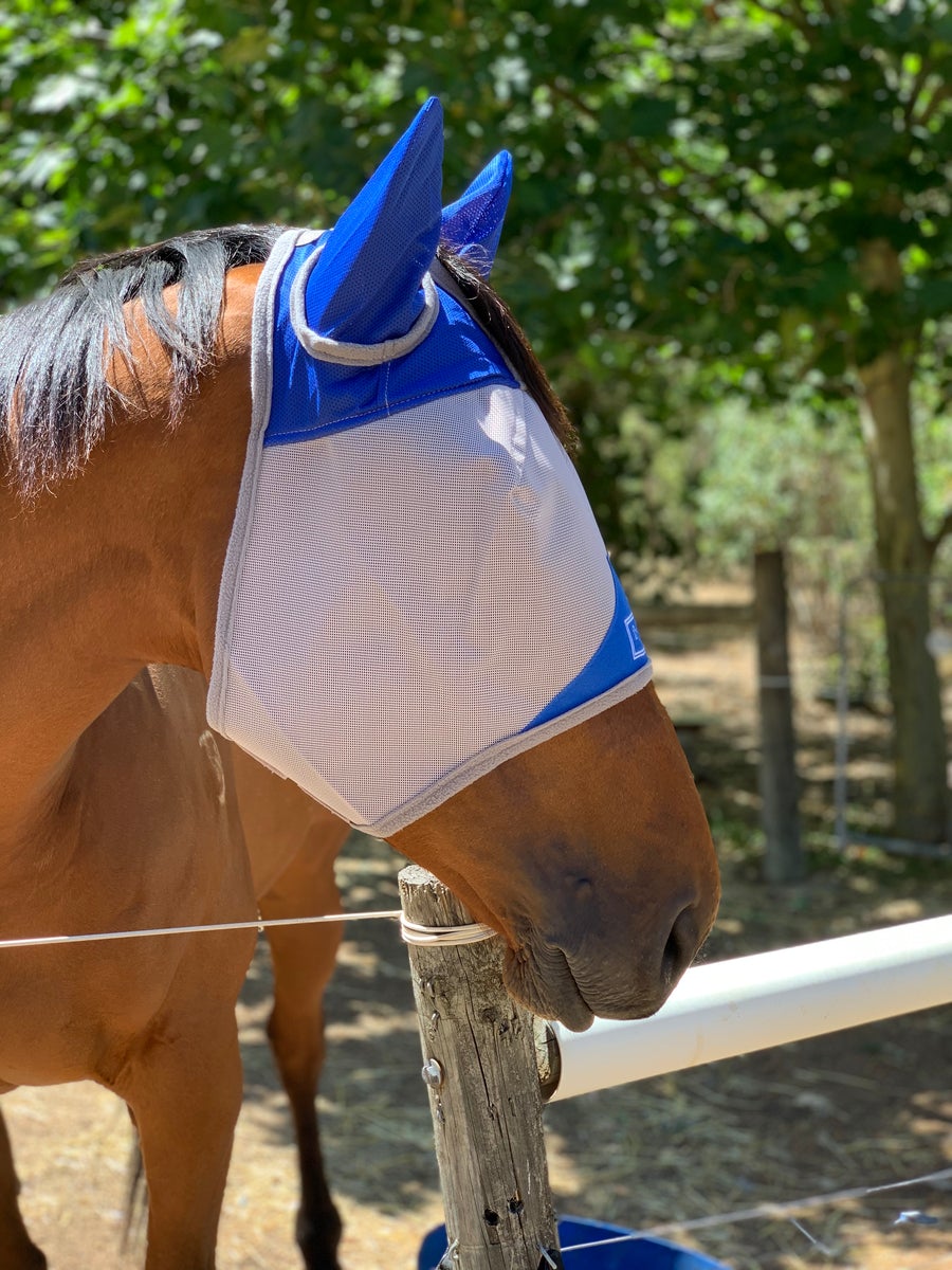 CASHEL CRUSADER & FLY BUSTER FLY MASKS FOR COB, HORSE, WB & DRAFT