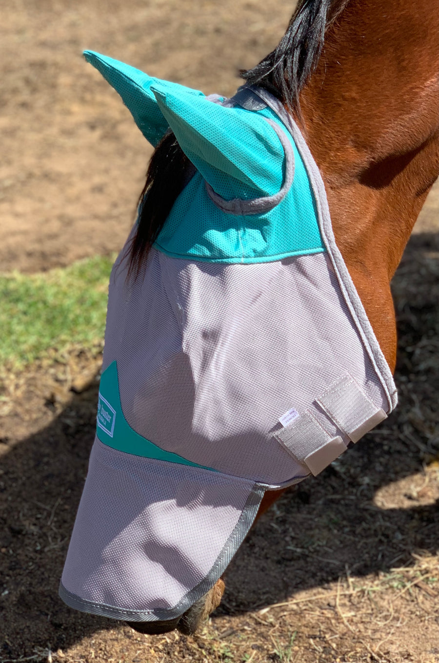 CASHEL & FLY BUSTER FLY MASKS FOR PONIES, FOALS, WEANLINGS & YEARLINGS