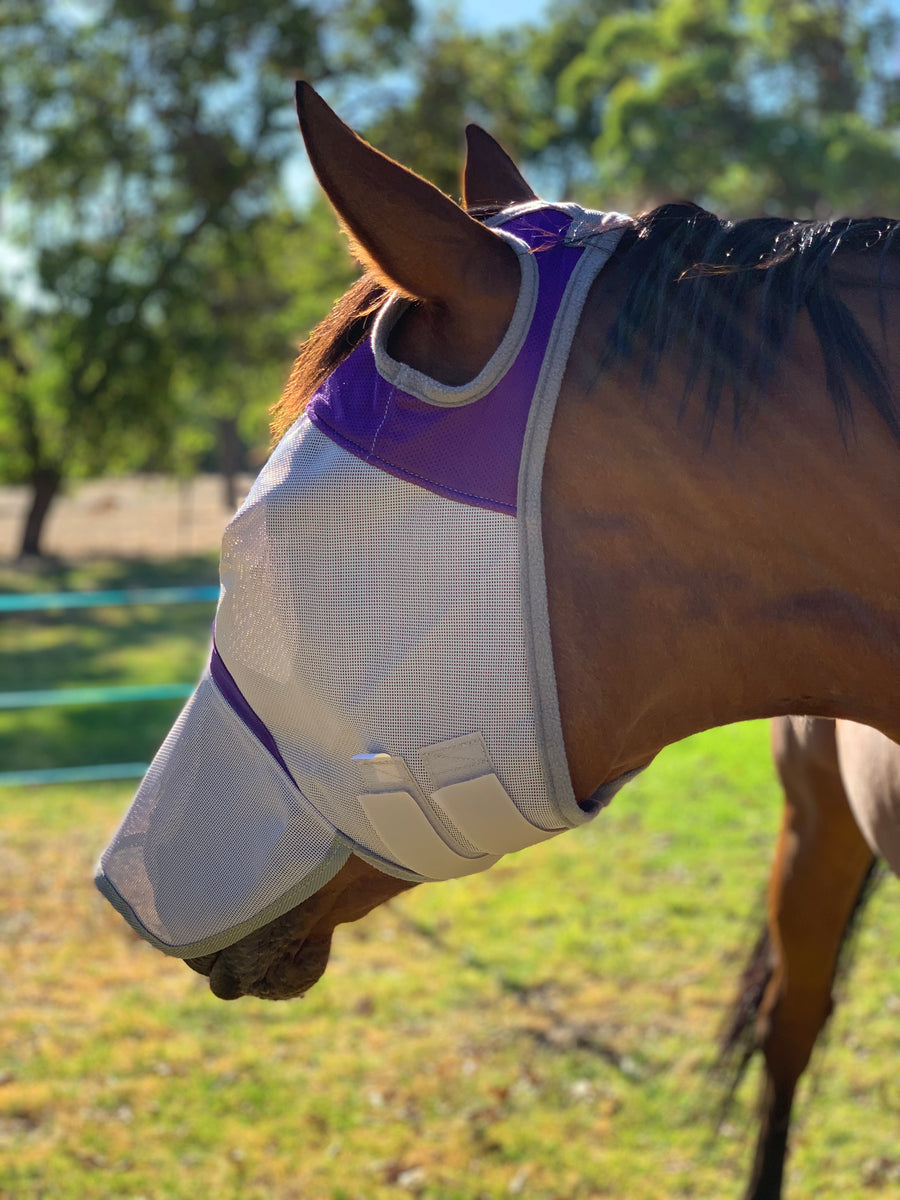 CASHEL CRUSADER & FLY BUSTER FLY MASKS FOR COB, HORSE, WB & DRAFT