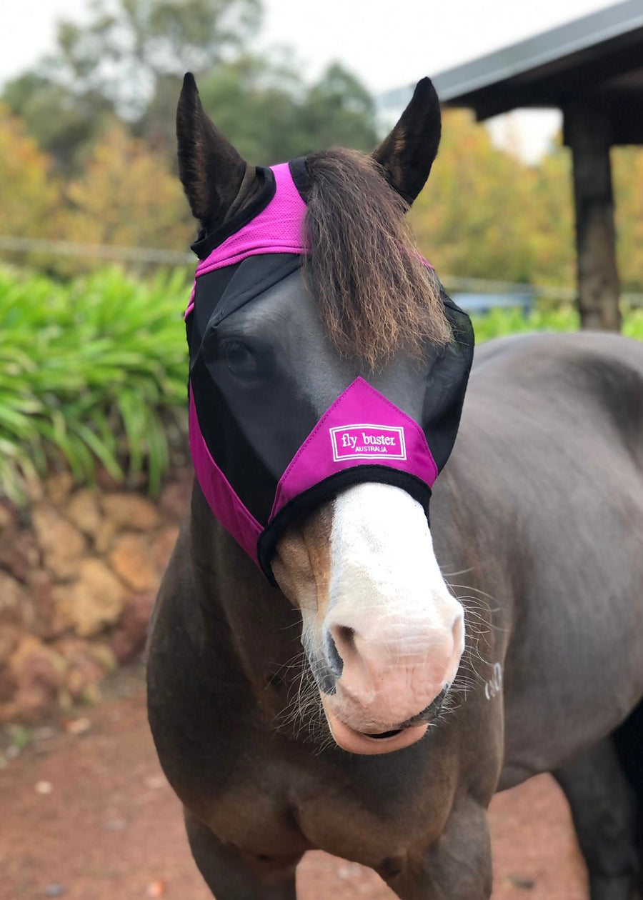 CASHEL CRUSADER & FLY BUSTER FLY MASKS FOR COB, HORSE, WB & DRAFT