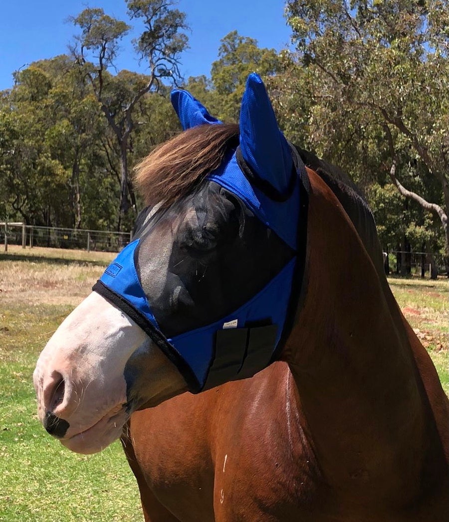 CASHEL CRUSADER & FLY BUSTER FLY MASKS FOR COB, HORSE, WB & DRAFT