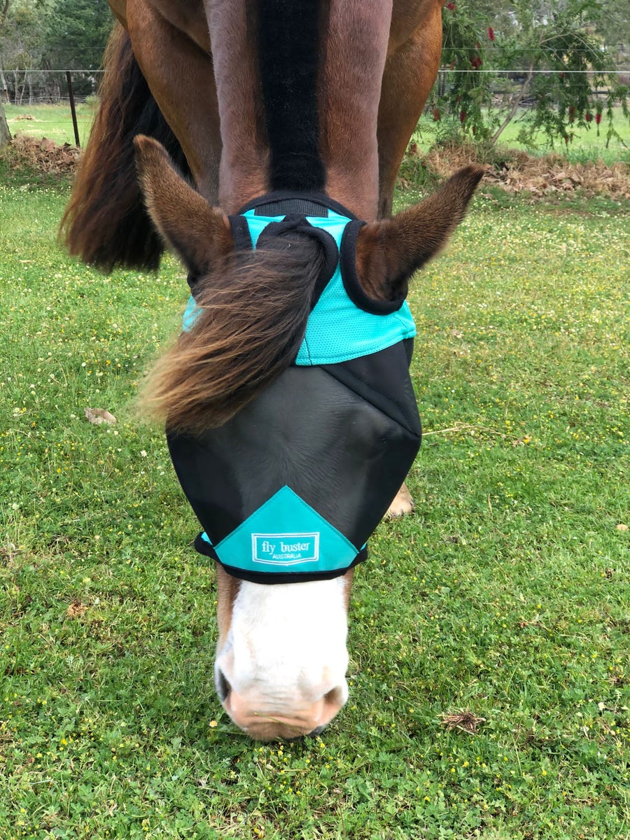 CASHEL CRUSADER & FLY BUSTER FLY MASKS FOR COB, HORSE, WB & DRAFT