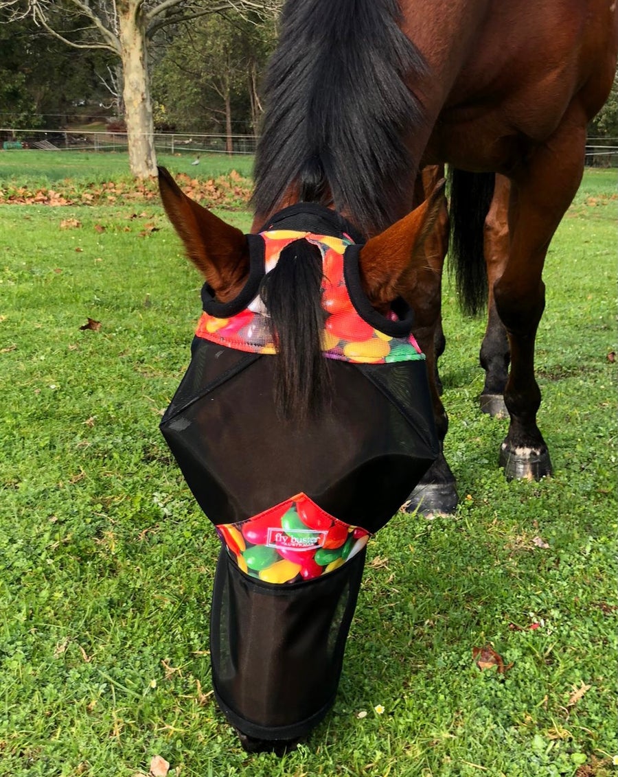 CASHEL CRUSADER & FLY BUSTER FLY MASKS FOR COB, HORSE, WB & DRAFT