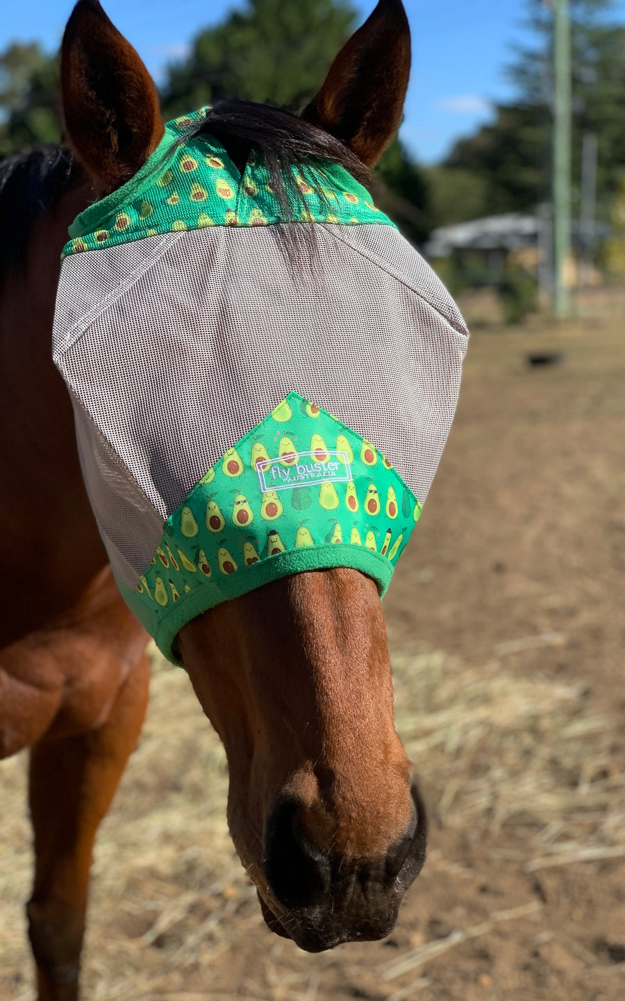 CASHEL CRUSADER & FLY BUSTER FLY MASKS FOR COB, HORSE, WB & DRAFT