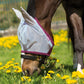 AMIGO FINEMESH MASK WITH EARS