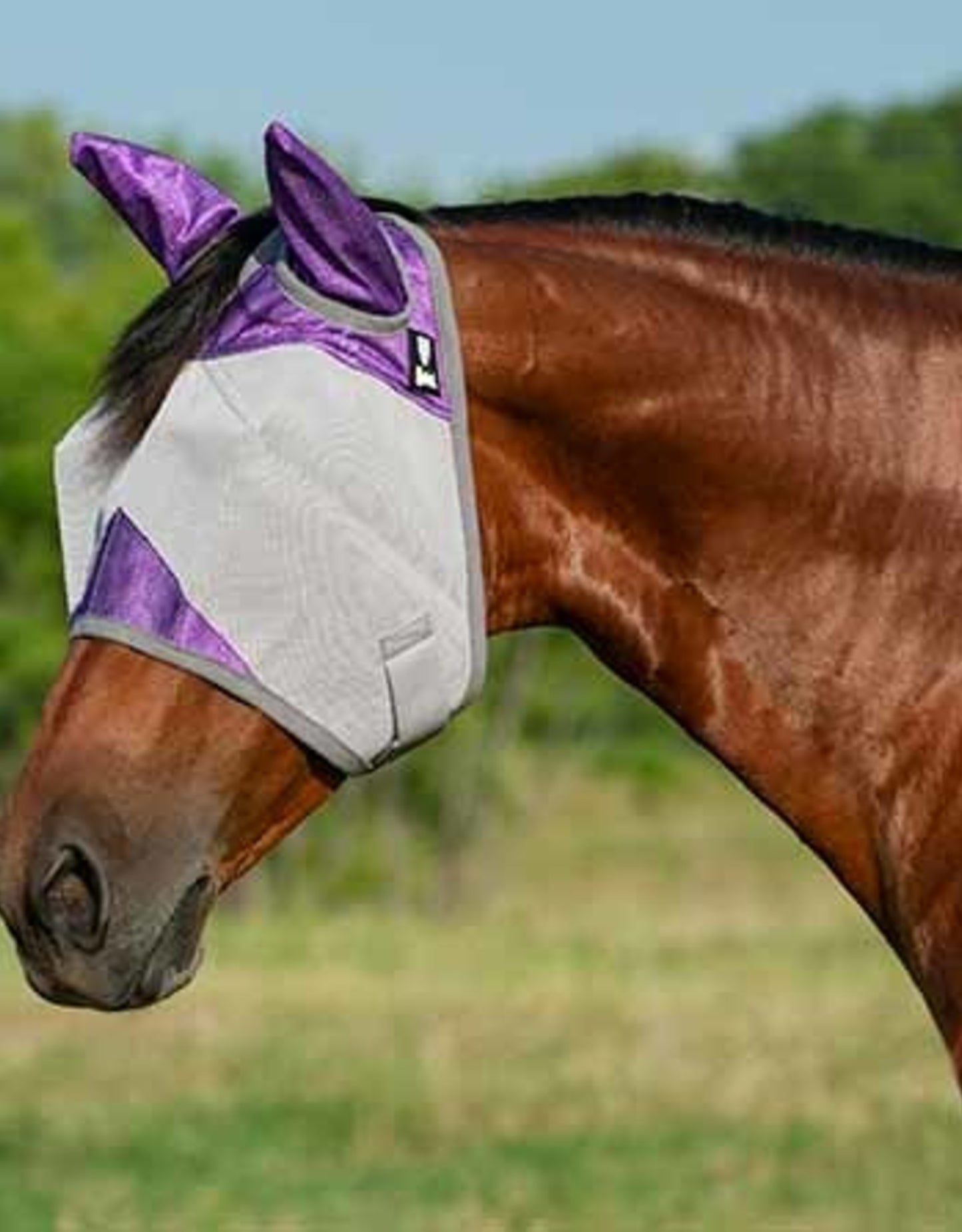 CASHEL & FLY BUSTER FLY MASKS FOR PONIES, FOALS, WEANLINGS & YEARLINGS