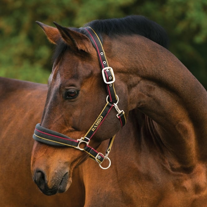 🔖RAMBO PADDED HEADCOLLAR