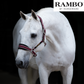 🔖RAMBO PADDED HEADCOLLAR