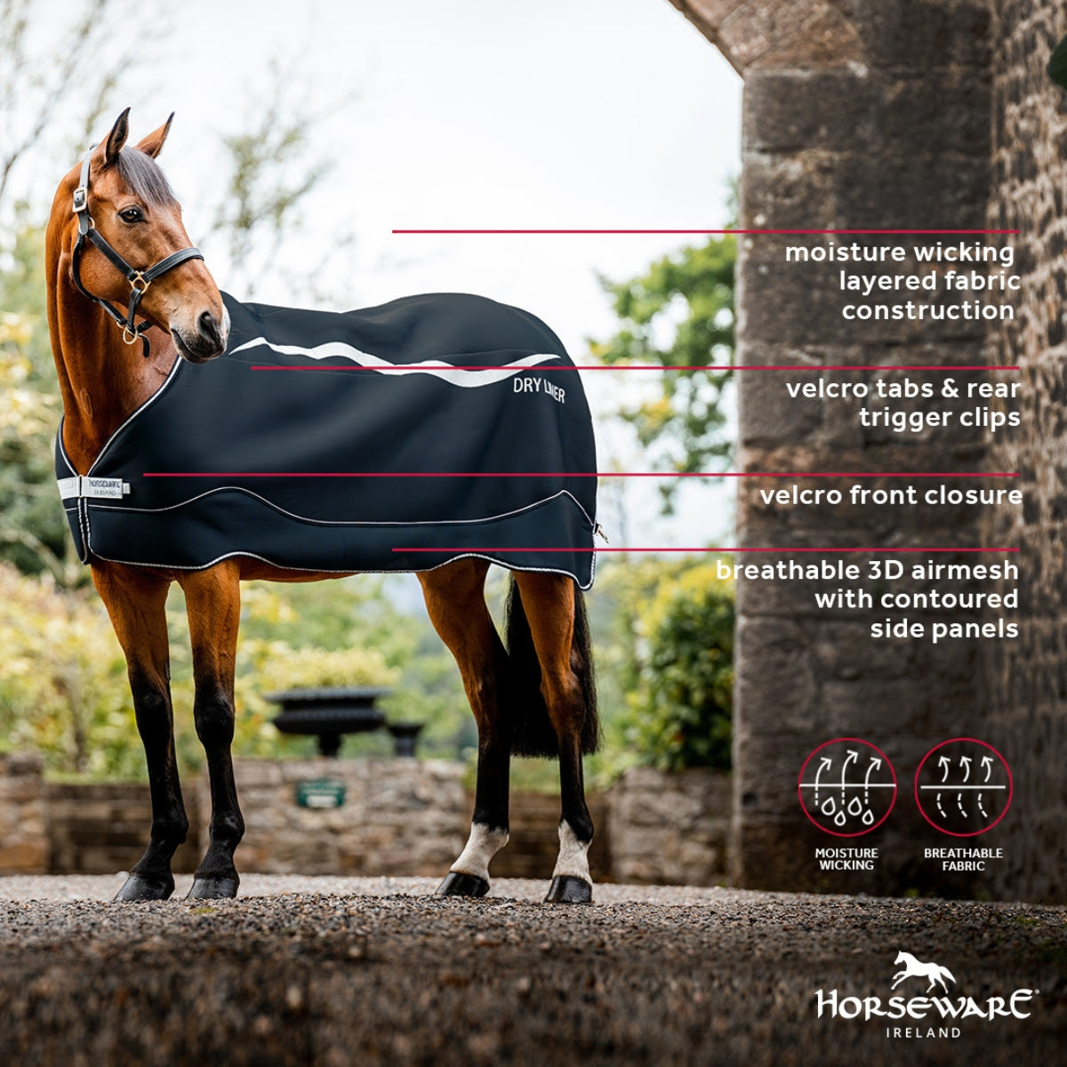 HORSEWARE DRY LINER